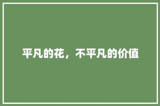 平凡的花，不平凡的价值