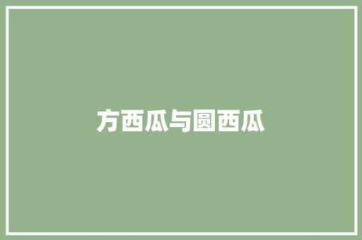 方西瓜与圆西瓜