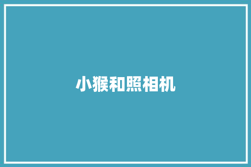 小猴和照相机
