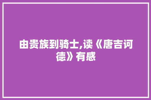 由贵族到骑士,读《唐吉诃德》有感
