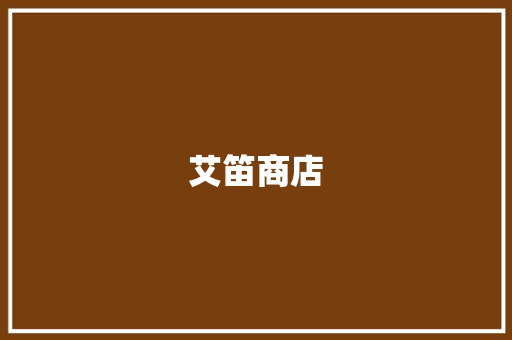 艾笛商店