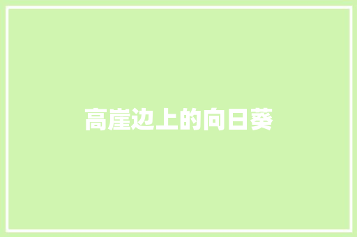高崖边上的向日葵