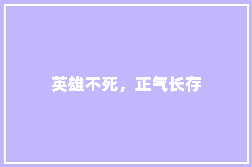 英雄不死，正气长存