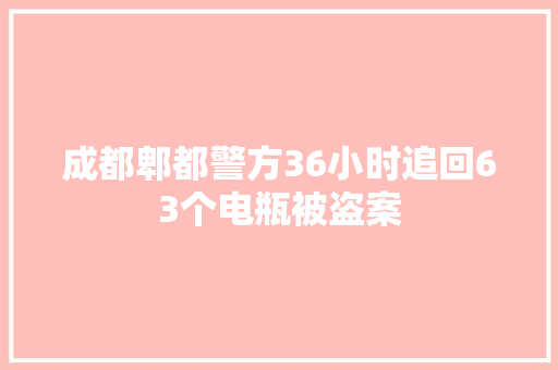 成都郫都警方36小时追回63个电瓶被盗案 汽车知识