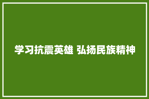 学习抗震英雄 弘扬民族精神