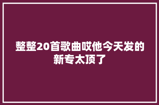 整整20首歌曲哎他今天发的新专太顶了