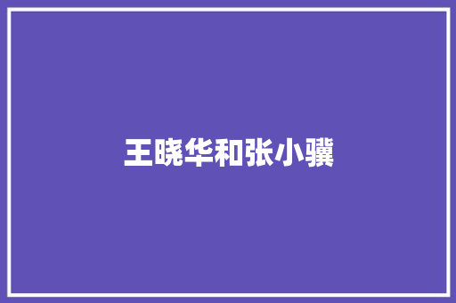 王晓华和张小骥