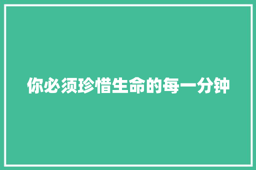 你必须珍惜生命的每一分钟
