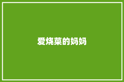 爱烧菜的妈妈
