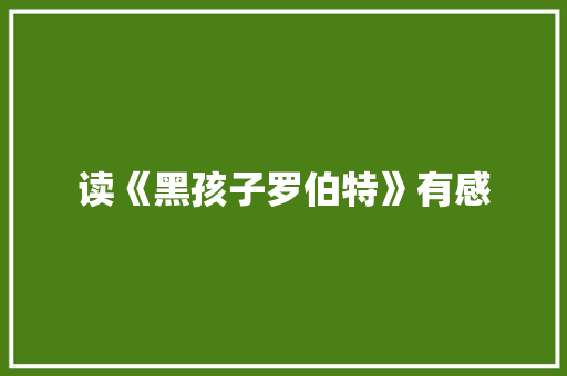 读《黑孩子罗伯特》有感