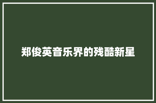郑俊英音乐界的残酷新星 休闲娱乐