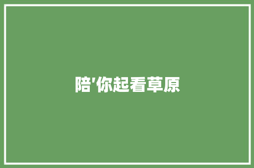 陪′你起看草原 休闲娱乐