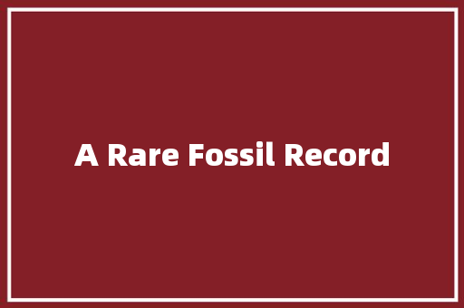 A Rare Fossil Record 知识百科