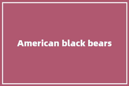 American black bears