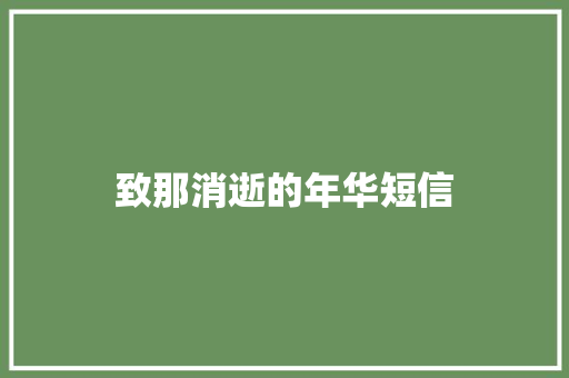 致那消逝的年华短信