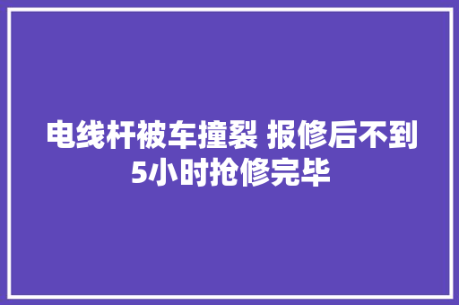 电线杆被车撞裂 报修后不到5小时抢修完毕 汽车知识