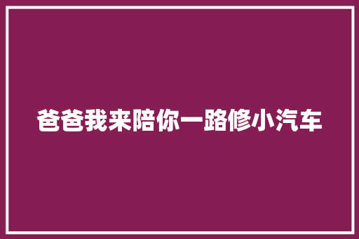 爸爸我来陪你一路修小汽车 汽车知识