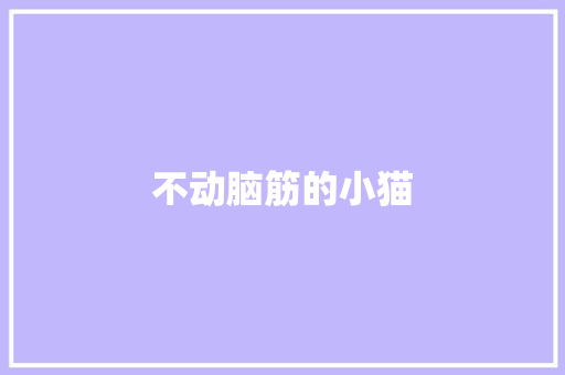 不动脑筋的小猫 知识百科