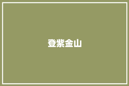 登紫金山