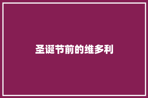 圣诞节前的维多利