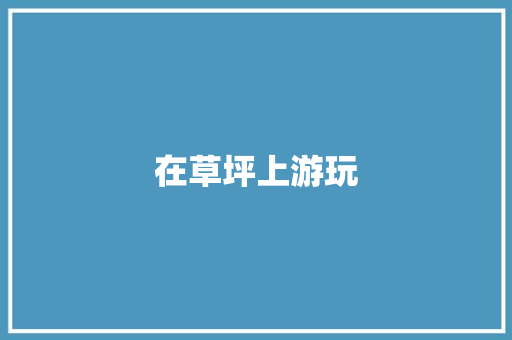 在草坪上游玩
