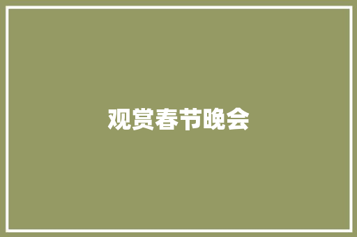 观赏春节晚会