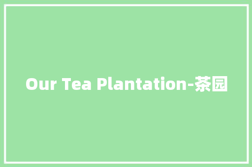 Our Tea Plantation-茶园