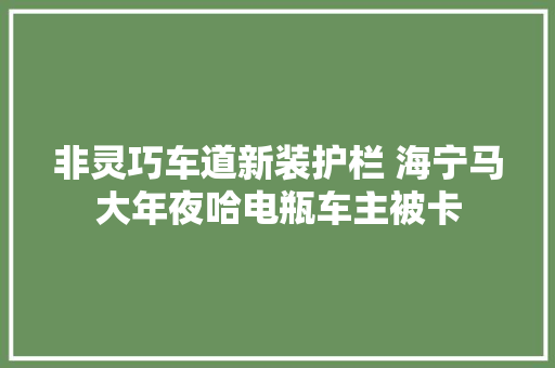 非灵巧车道新装护栏 海宁马大年夜哈电瓶车主被卡