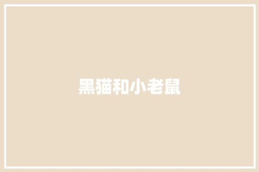 黑猫和小老鼠
