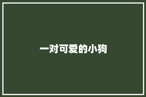 一对可爱的小狗