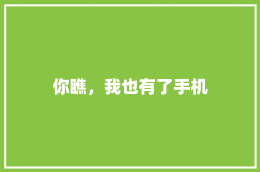 你瞧，我也有了手机