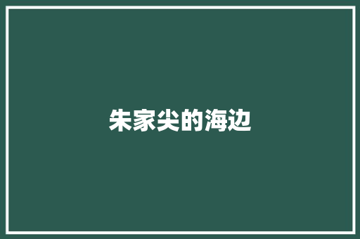 朱家尖的海边