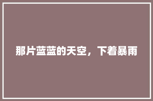 那片蓝蓝的天空，下着暴雨