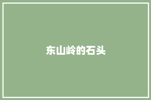 东山岭的石头