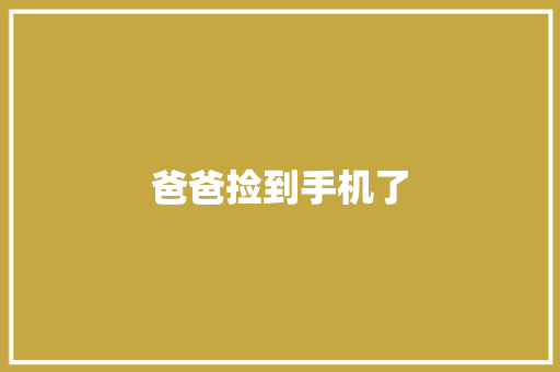 爸爸捡到手机了