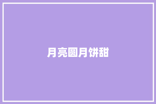 月亮圆月饼甜