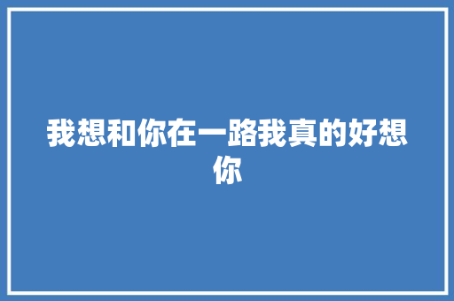 我想和你在一路我真的好想你