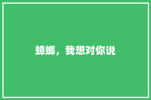 蟑螂，我想对你说