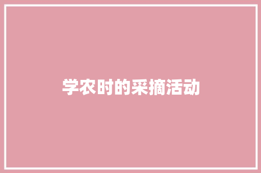 学农时的采摘活动