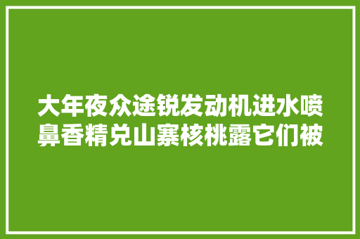 大年夜众途锐发动机进水喷鼻香精兑山寨核桃露它们被315晚会曝光了