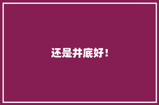 还是井底好！