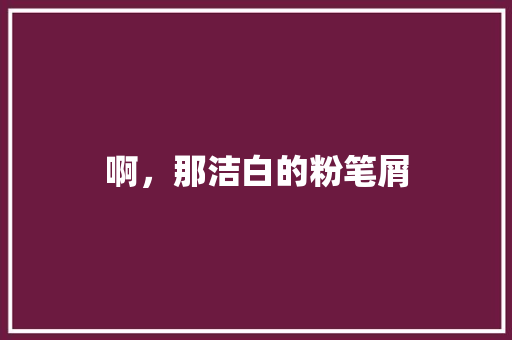 啊，那洁白的粉笔屑