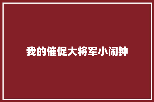 我的催促大将军小闹钟