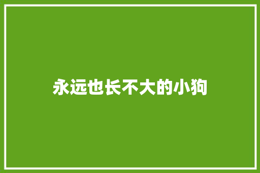 永远也长不大的小狗