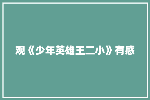 观《少年英雄王二小》有感