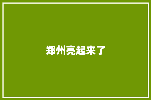 郑州亮起来了