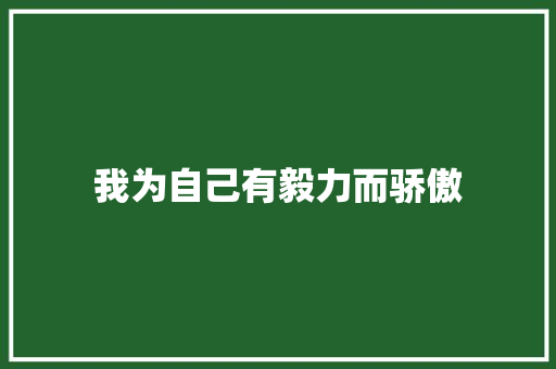 我为自己有毅力而骄傲