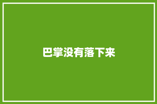 巴掌没有落下来