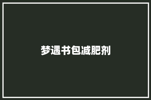 梦遇书包减肥剂