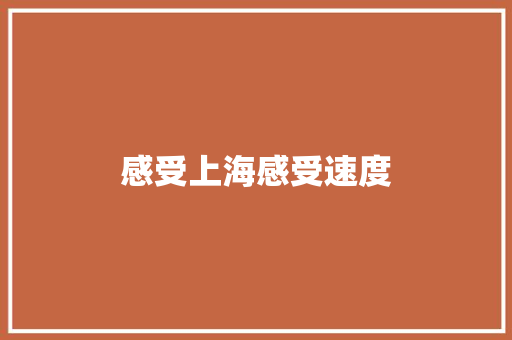 感受上海感受速度